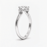 Oval Trio Hidden Halo Engagement Ring, thumbnail 8